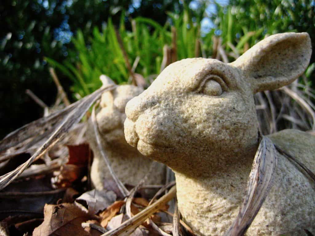 A knowing concrete bunny wallowing in spent leaves with a smile.