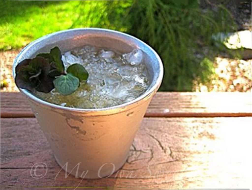 Mint Julep garnished with a sprig of mint outdoors in a pewter cup
