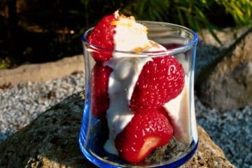 Served in a wobbly blue sake glass, fresh local strawberries are drenched in Golden Sake Sauce and garnished with lemon zest and brown sugar.