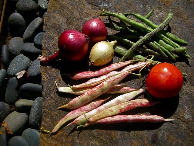Rattlesnake Beans, Borlotto Beans, Onions and Heirloom Tomato on Stone