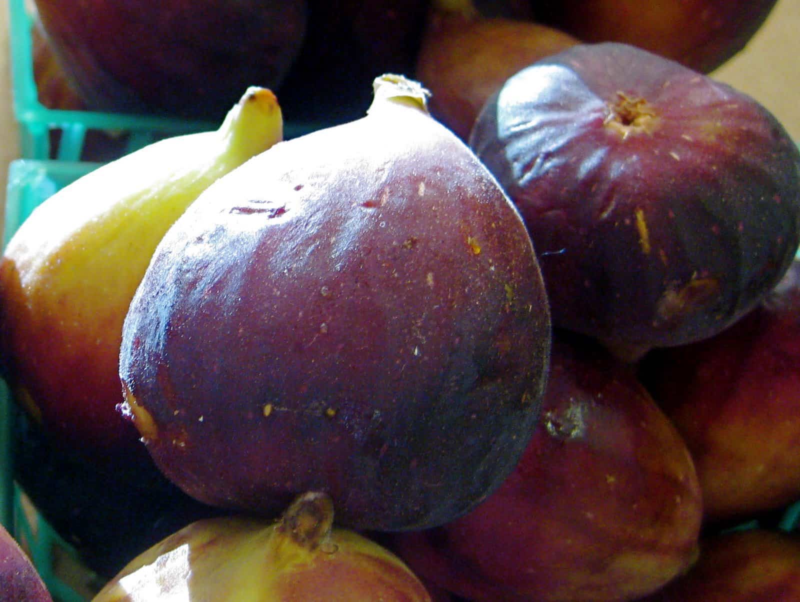 Mission Figs at the Farmer's Market