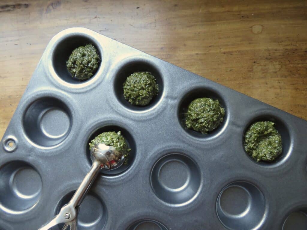 To freeze Pesto: Scoop freshly made Pesto Sauce into mini muffin tins. Freeze mixture then remove from tin and store in a plastic freezer bag until needed.