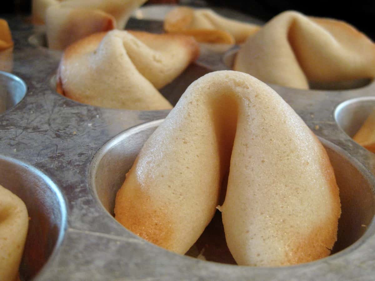 Fortune Cookies are folded while still hot then placed in the cups of a muffin tin to cool completely.