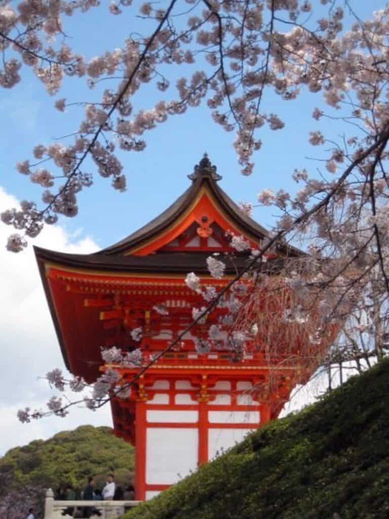 A Japanese pagoda with cherry blossoms in the foreground.
