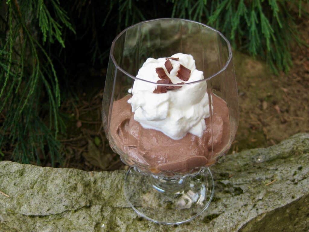 Chocolate Tofu Mousse topped with whipped cream and served in a brandy glass resting on a rock in the garden.
