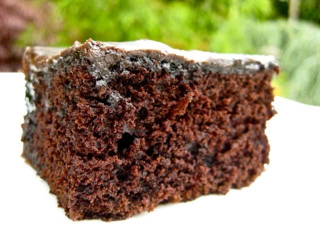 Catherine Bishop Chocolate Cake Slice