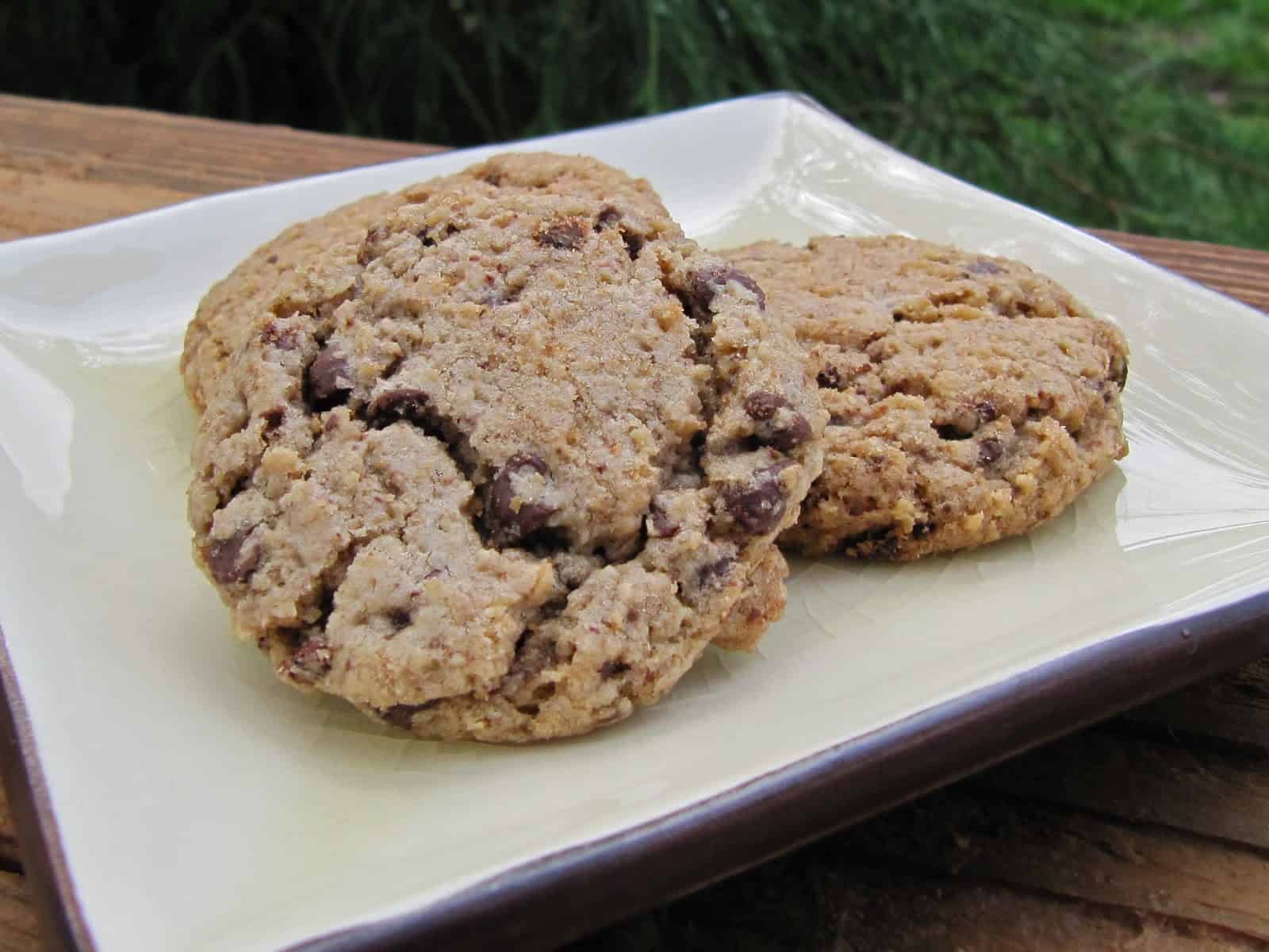 Oatmeal Chocolate Chip Cookies, sometimes called Neiman Marcus Cookies, on a small square plate.