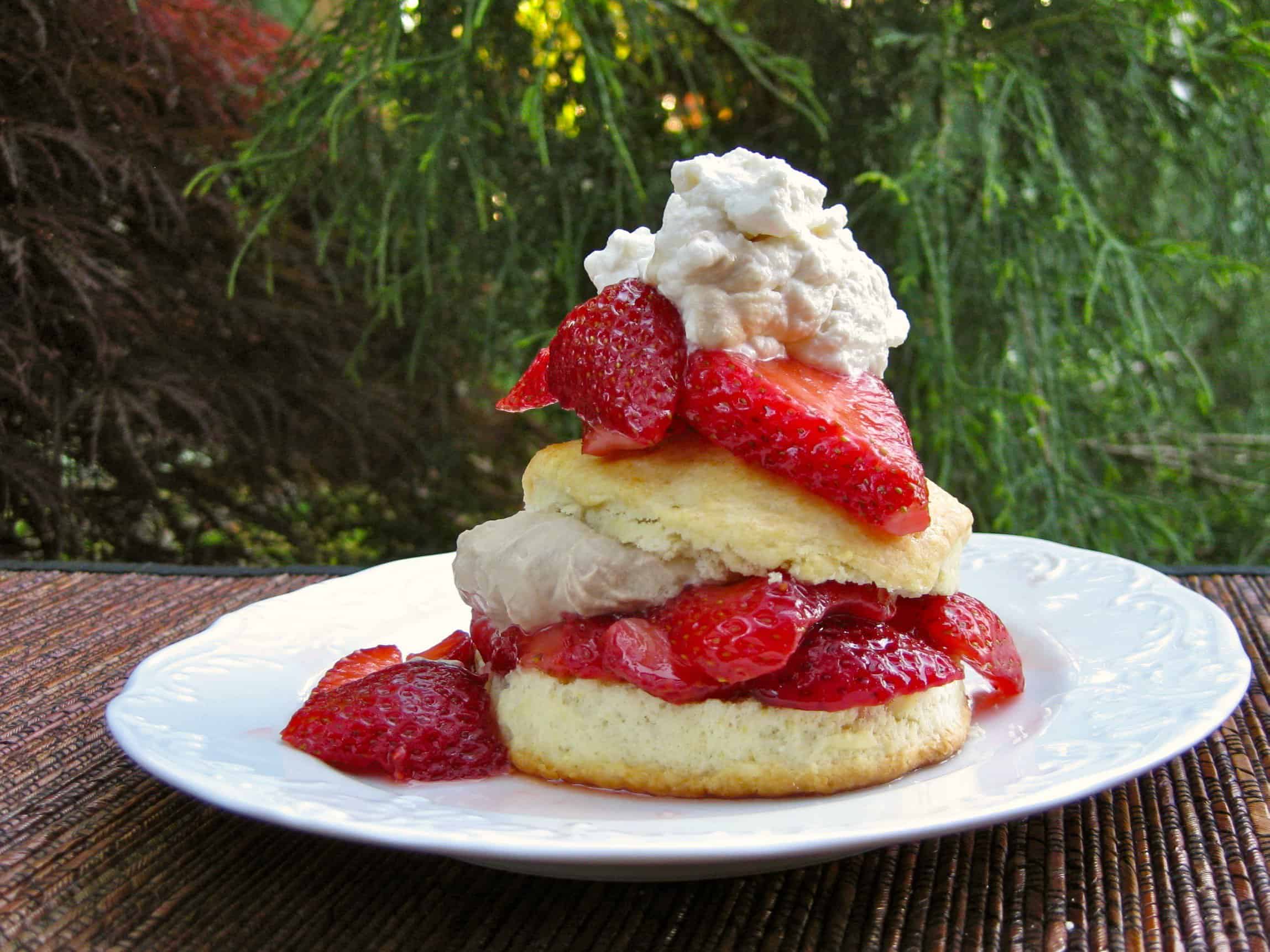 Strawberry Shortcake made with fresh strawberries and Buttermilk Scones topped with Whipped Cream.