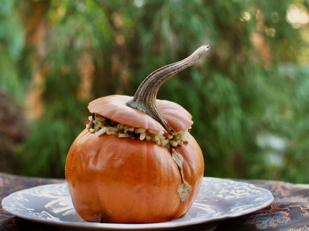 Roasted Mini Pumpkin stuffed with rice and resting on a plate in the fall garden.