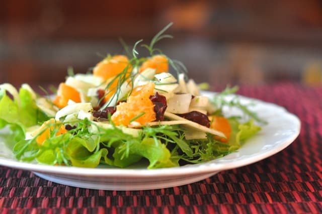 Fennel Salad with orange sections and cranberries