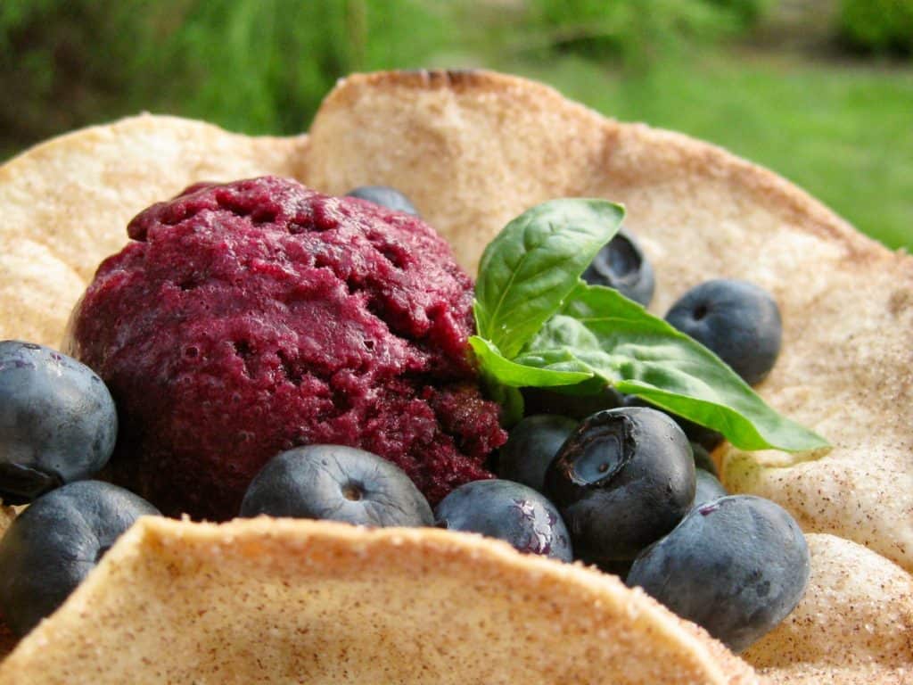 Blueberry Pomegranate Granita topped with fresh blueberries in a Cinnamon Sugar Tortilla Cup