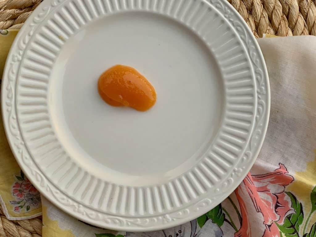 A spoonful of Peach Butter dropped on a cool plate to see if it is done.