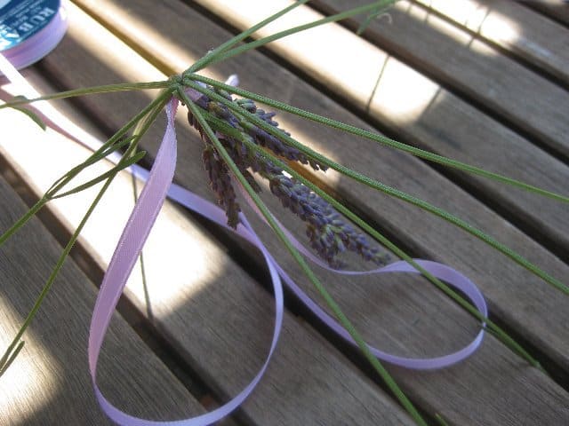 Making a lavender wand: stems bent back to form a cage. 